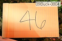 09buck-0804 thumbnail