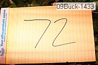 09buck-1433 thumbnail