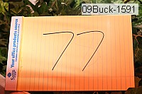 09buck-1591 thumbnail