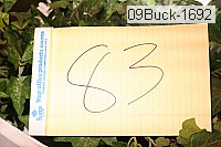 09buck-1692 thumbnail