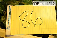 09buck-1712 thumbnail