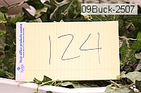 09buck-2507 thumbnail