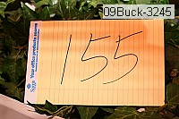 09buck-3245 thumbnail