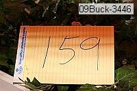 09buck-3446 thumbnail