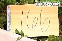 09buck-3632 thumbnail