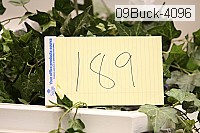 09buck-4096 thumbnail