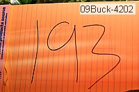 09buck-4202 thumbnail