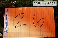 09buck-5027 thumbnail