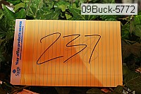 09buck-5772 thumbnail