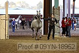 09yn-18952 thumbnail
