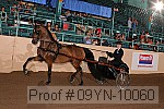 09yn-10060 thumbnail