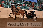 09yn-10062 thumbnail