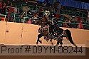 09yn-08244 thumbnail