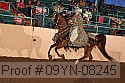 09yn-08245 thumbnail