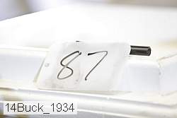 14buck_1934 thumbnail