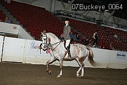 07Buckeye_0064 thumbnail