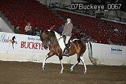 07Buckeye_0067 thumbnail