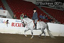 07Buckeye_0071 thumbnail