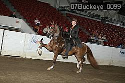 07Buckeye_0099 thumbnail