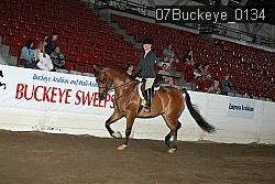07Buckeye_0134 thumbnail