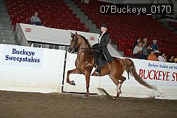 07Buckeye_0170 thumbnail