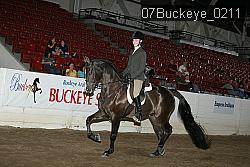 07Buckeye_0211 thumbnail