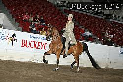 07Buckeye_0214 thumbnail