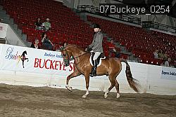 07Buckeye_0254 thumbnail