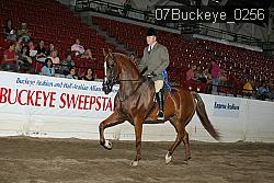 07Buckeye_0256 thumbnail