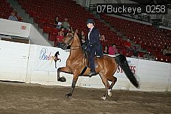 07Buckeye_0258 thumbnail
