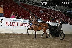 07Buckeye_0355 thumbnail