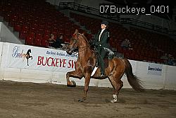 07Buckeye_0401 thumbnail