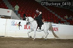 07Buckeye_0418 thumbnail