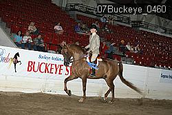 07Buckeye_0460 thumbnail