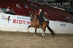 07Buckeye_0485 thumbnail