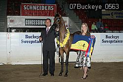 07Buckeye_0563 thumbnail