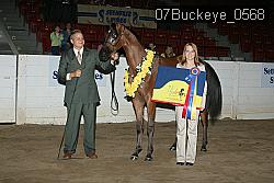 07Buckeye_0568 thumbnail