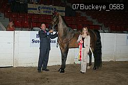 07Buckeye_0583 thumbnail