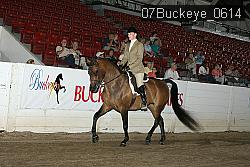 07Buckeye_0614 thumbnail