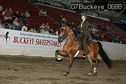 07Buckeye_0688 thumbnail