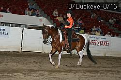 07Buckeye_0715 thumbnail