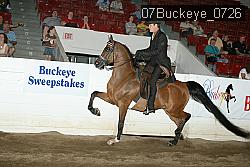 07Buckeye_0726 thumbnail