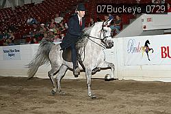 07Buckeye_0729 thumbnail
