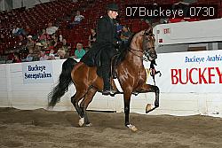 07Buckeye_0730 thumbnail