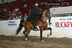 07Buckeye_0730 thumbnail