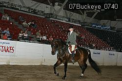 07Buckeye_0740 thumbnail