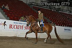 07Buckeye_0779 thumbnail