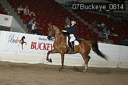 07Buckeye_0814 thumbnail