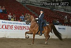 07Buckeye_0872 thumbnail