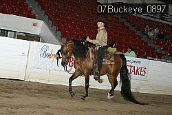 07Buckeye_0897 thumbnail